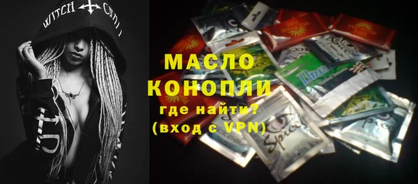 молекула духа Бородино