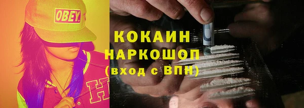 хмурый Верея