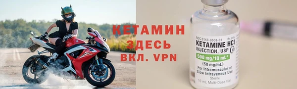 хмурый Верея