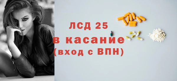 хмурый Верея