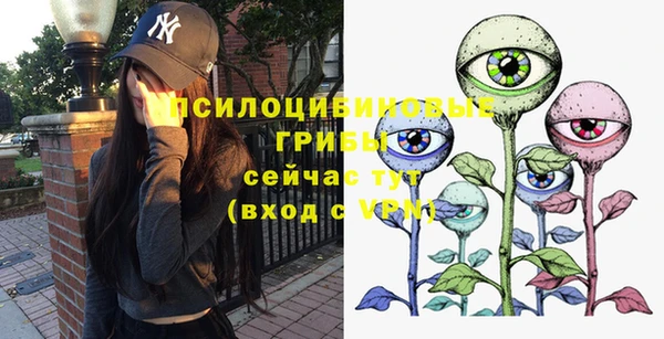хмурый Верея