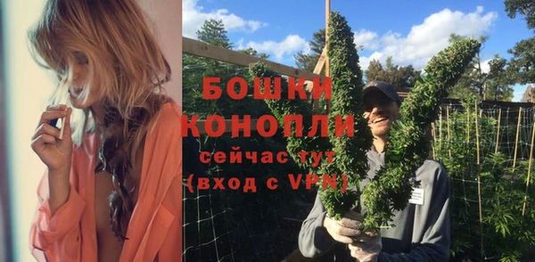 хмурый Верея