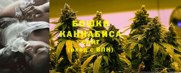 хмурый Верея