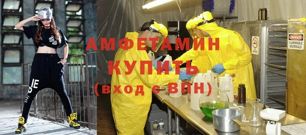 хмурый Верея