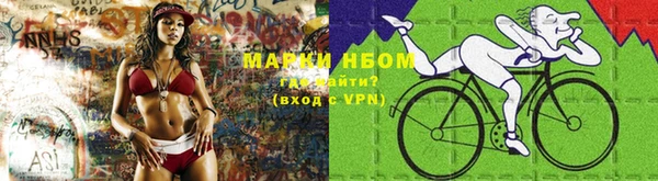 хмурый Верея