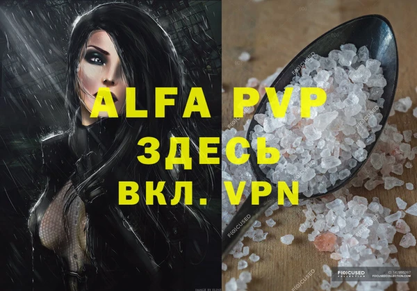 хмурый Верея